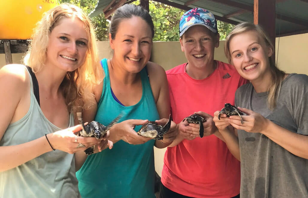 Volunteer in Indonesia - Bali Sea Turtle Rescue
