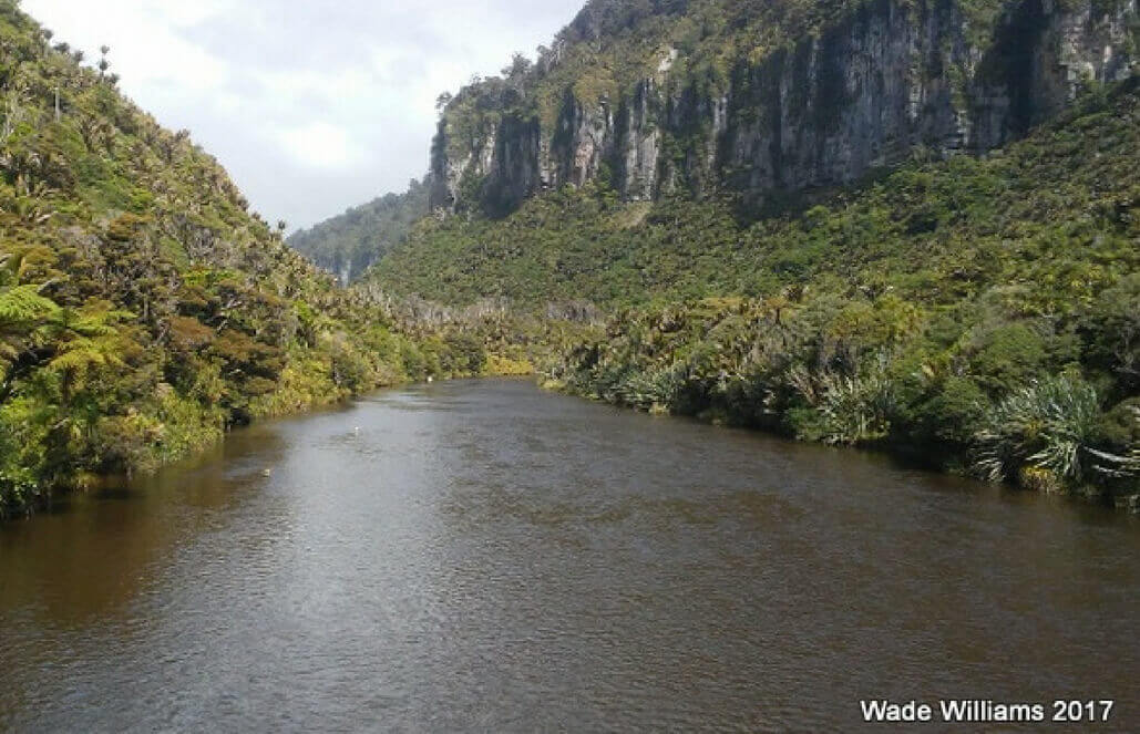 Pororai River - Volunteer in New Zealand