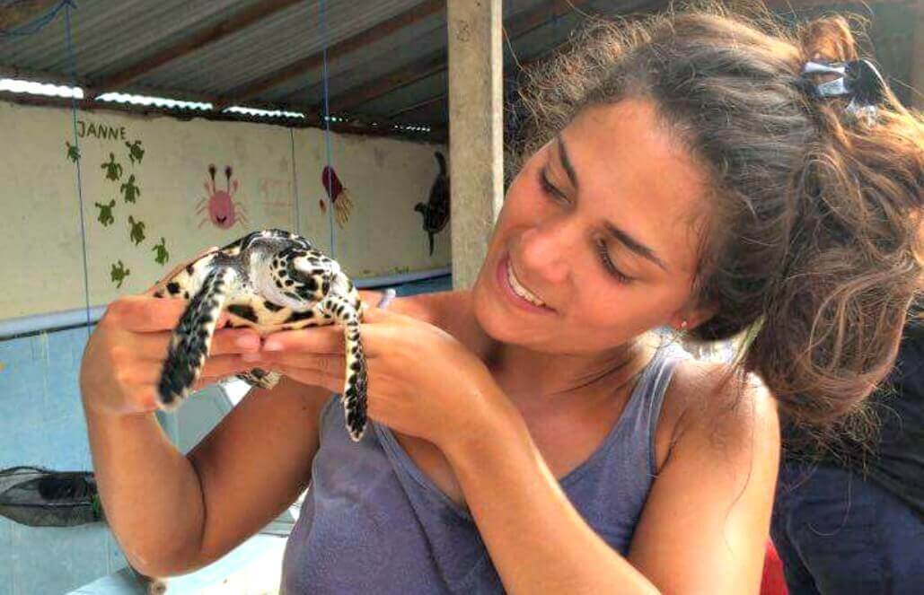 Volunteer in Indonesia - Measuring Sea Turtles