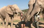 Volunteer in South Africa - African Wildlife Ranch Pre-Vet Internship