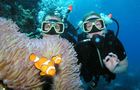 Volunteer in Australia - Great Barrier Reef Conservation