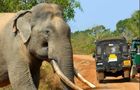 Discover Sri Lanka - Adventure Tour