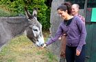 Volunteer in Ireland - Sustainable Farming and Cafe Experience