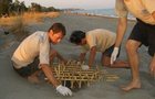 Volunteer in Greece - Mediterranean Sea Turtle Conservation
