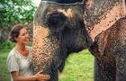 Volunteer in India - Elephants, Child Care and Taj Mahal 