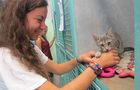 Volunteer in Israel - Tel Aviv Animal Shelter
