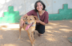 Volunteer in Israel - Tel Aviv Animal Shelter