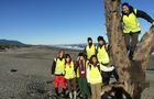 Volunteer in New Zealand - Conservation Experience
