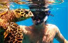 Volunteer in Seychelles - Scuba Dive for Research and Conservation