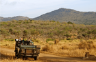Volunteer in South Africa - The Big 5 Wildlife Reserve in the Greater Kruger Area
