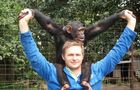 Volunteer in Zambia - Chimpanzee Wildlife and Orphan Care