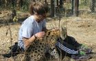 Volunteer in Zimbabwe - African Wildlife Orphanage