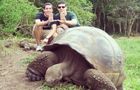 Volunteer in Ecuador - Giant Tortoise Center in the Galapagos