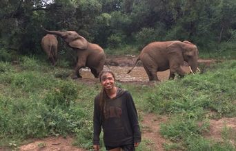 Volunteer in South Africa - Elephant Mud Baths