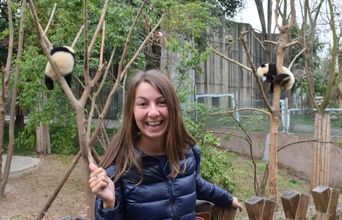  Volunteer in China - The  Panda Center Chengdu Research Base