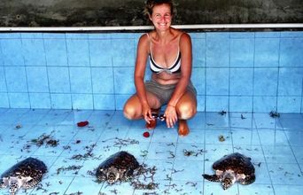 Volunteer in Indonesia - Sea Turtles After Cleaning