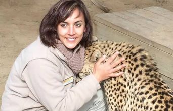 The Love This Cheetah Has For The Animal Handler!