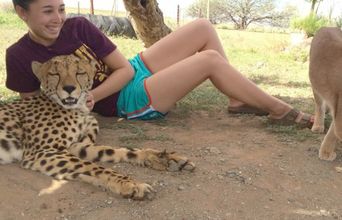 Hanging Out With Thato The Cheetah