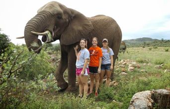 Volunteer in South Africa - Walking Along An Elephant