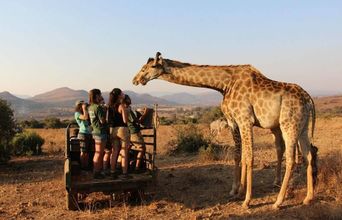 Volunteer in South Africa -  Game Drive!