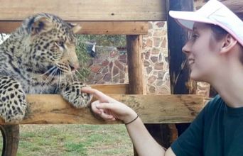 Volunteer in South Africa - Little Leopard