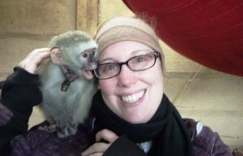 Volunteer in Zimbabwe - Baby Vervet Monkey Fun