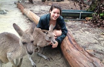 Hanging Out With Some Eastern Gray Wallabies