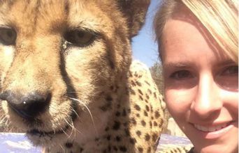Volunteer in South Africa - Up Close With Bailey The Cheetah