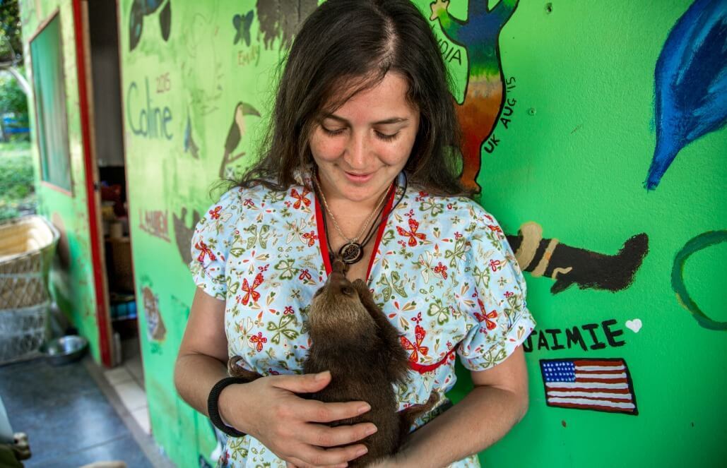 volunteer feeding sloth costa rica
