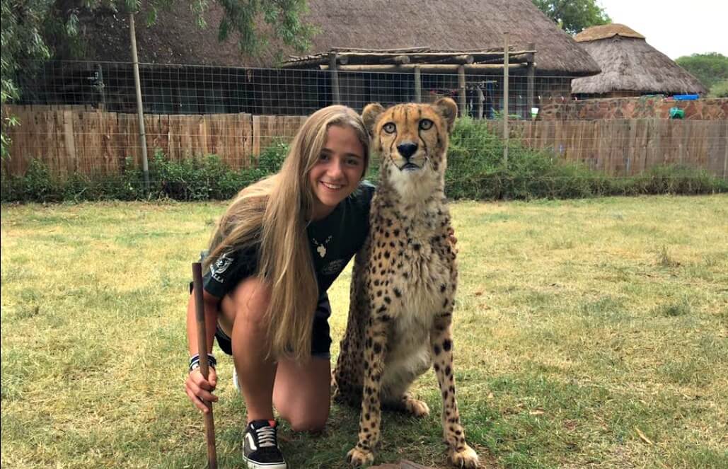 Volunteer in South Africa - Three-Legged Cheetah Bailey