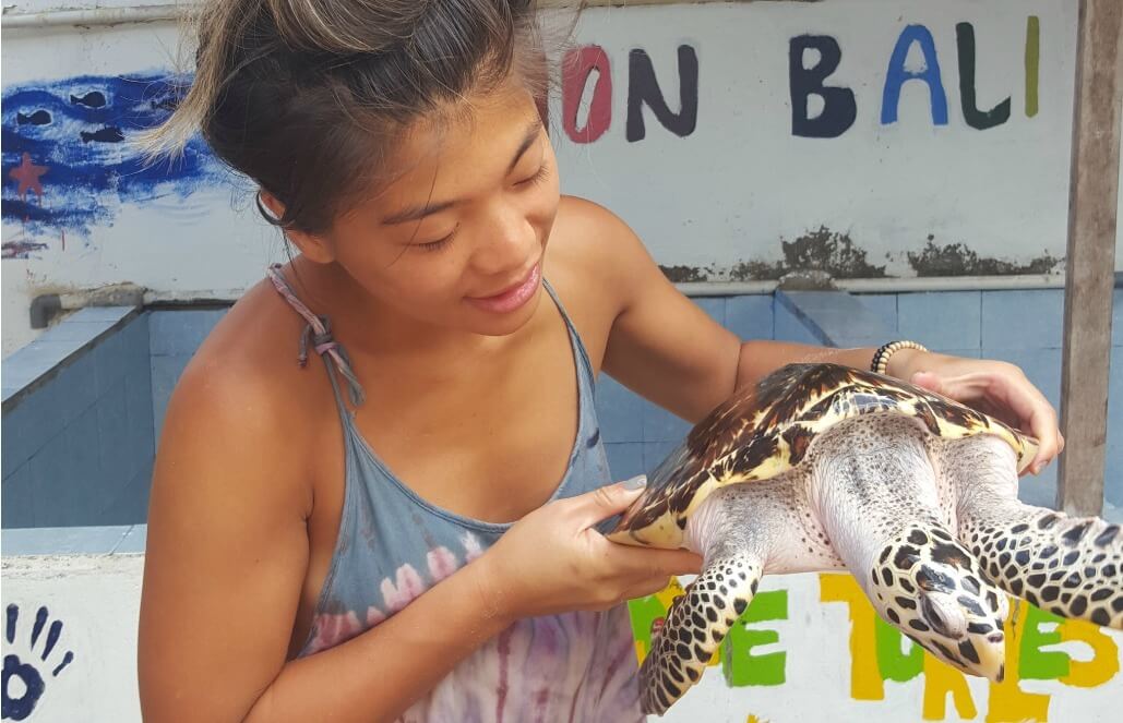 Volunteer in Indonesia - Bali Sea Turtle Rescue