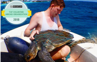 Maldives - Marine and Turtle Conservation
