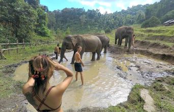 Fun With Elephants