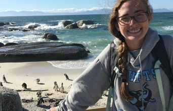 Boulder Beach- Penguins In Their Natural Habitat