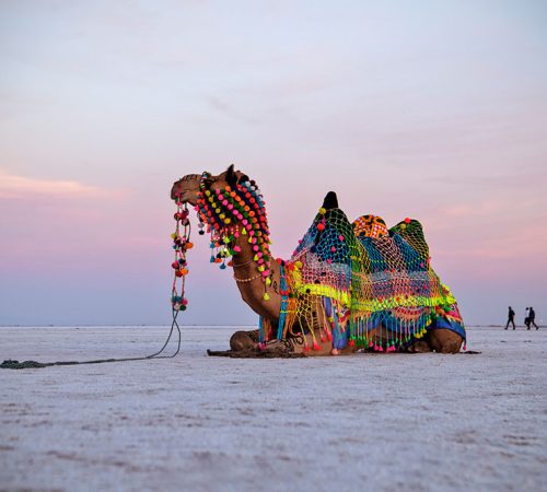 Kutch – Cultural Heritage & Community Empowerment Experience