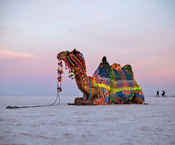 Kutch – Cultural Heritage & Community Empowerment Experience