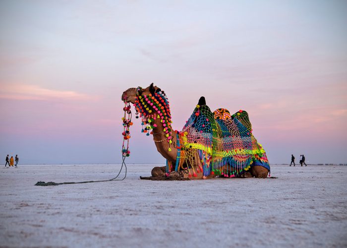 Kutch – Cultural Heritage & Community Empowerment Experience