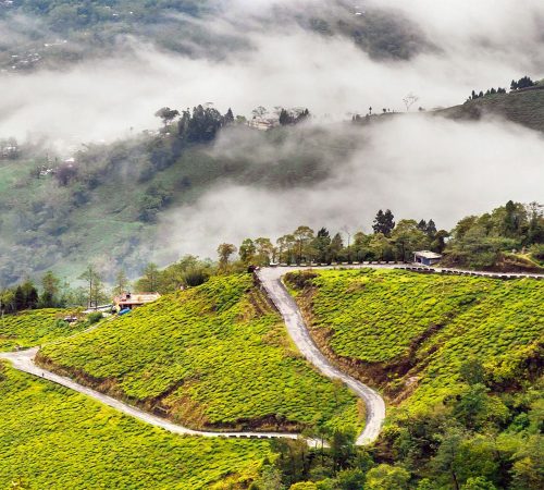 Darjeeling – Himalayan Cultural & Community Experience