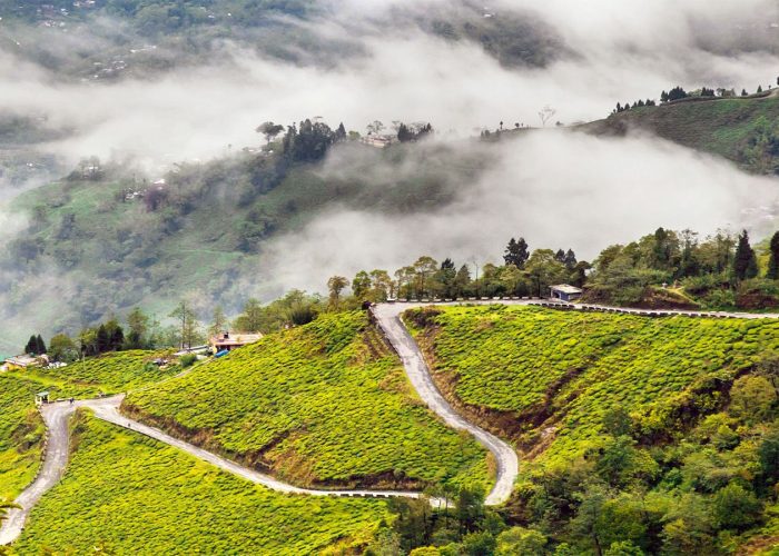 Darjeeling – Himalayan Cultural & Community Experience